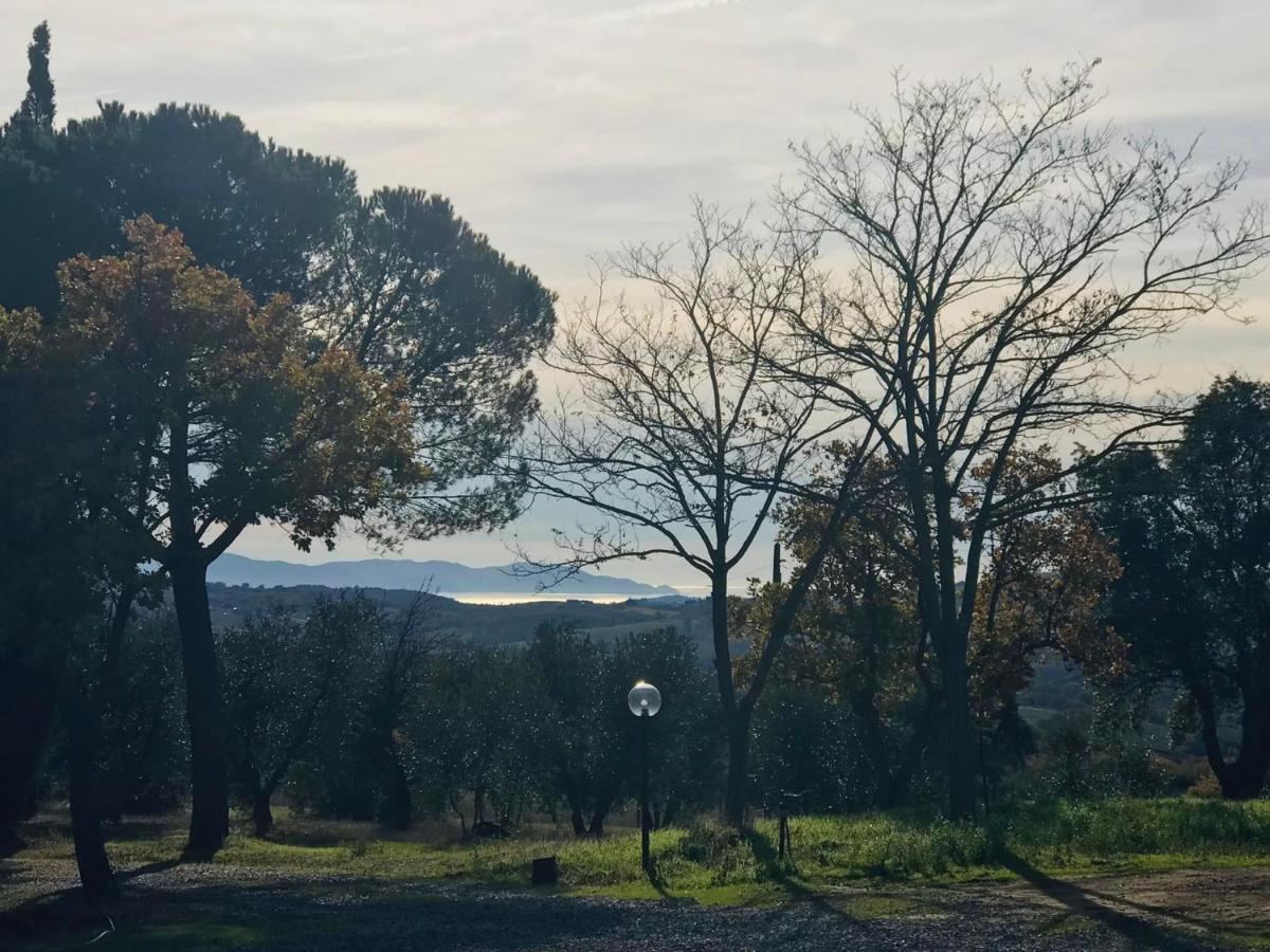 Tenuta Le Mandorlaie, In Scansano