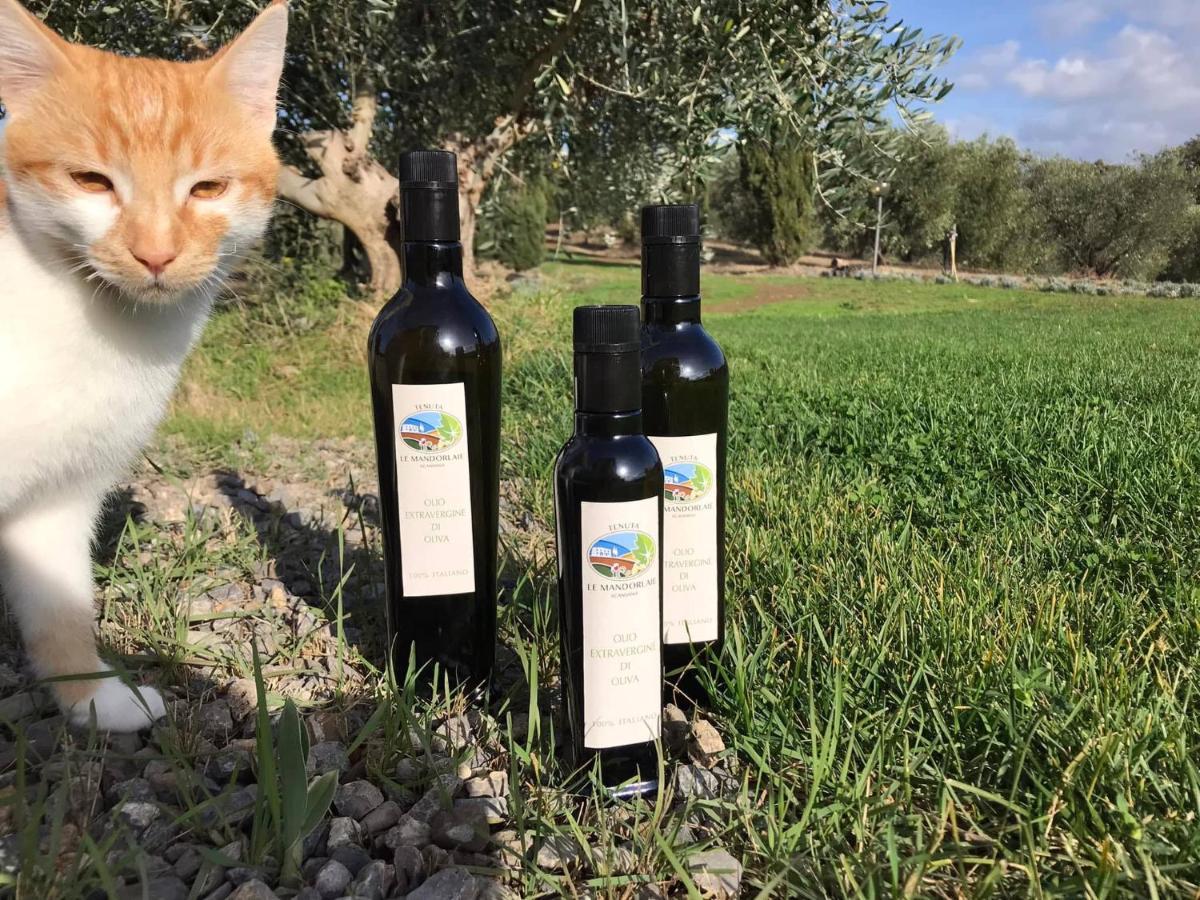 Tenuta Le Mandorlaie, In *