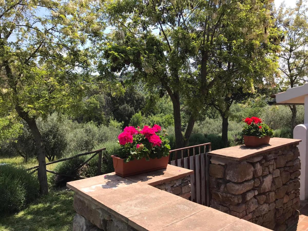 Farm stay Tenuta Le Mandorlaie, In *