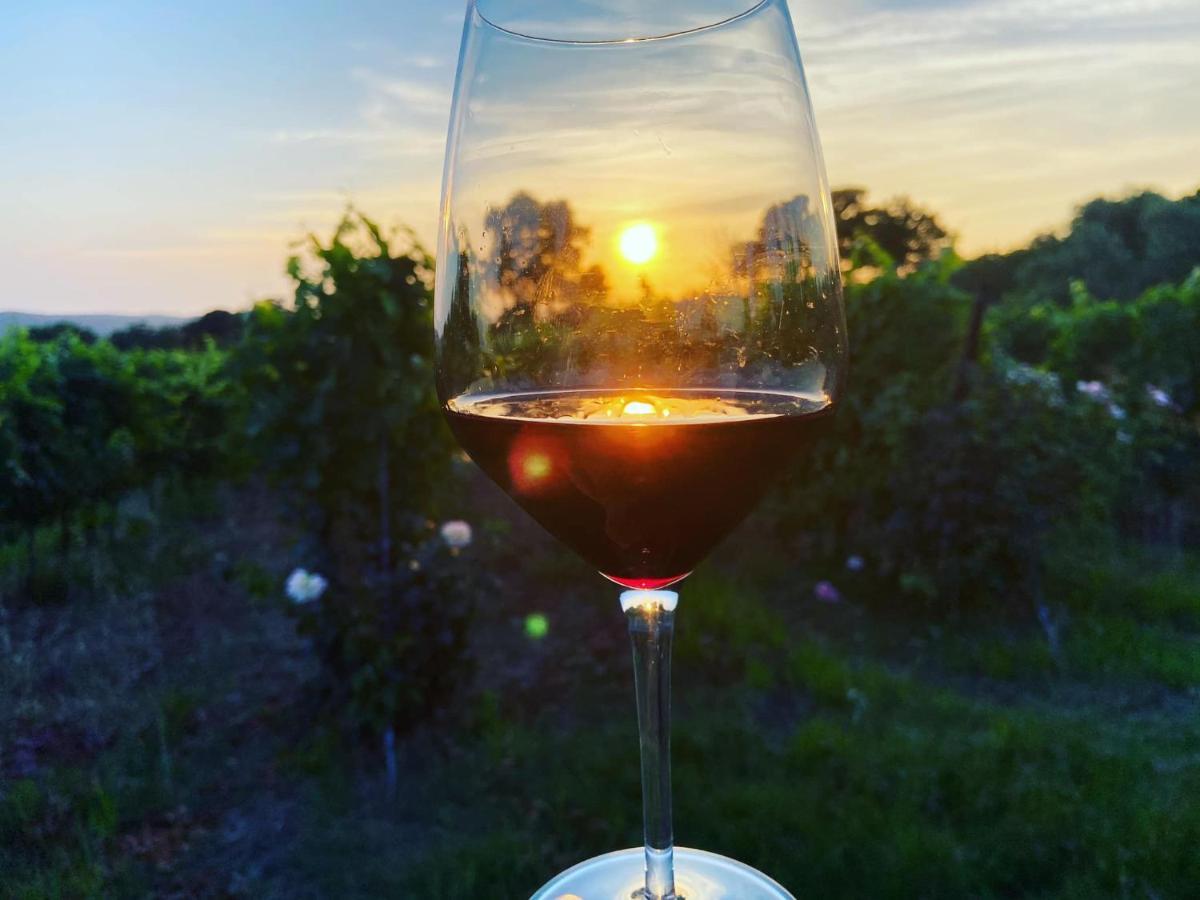 Farm stay Tenuta Le Mandorlaie, In *