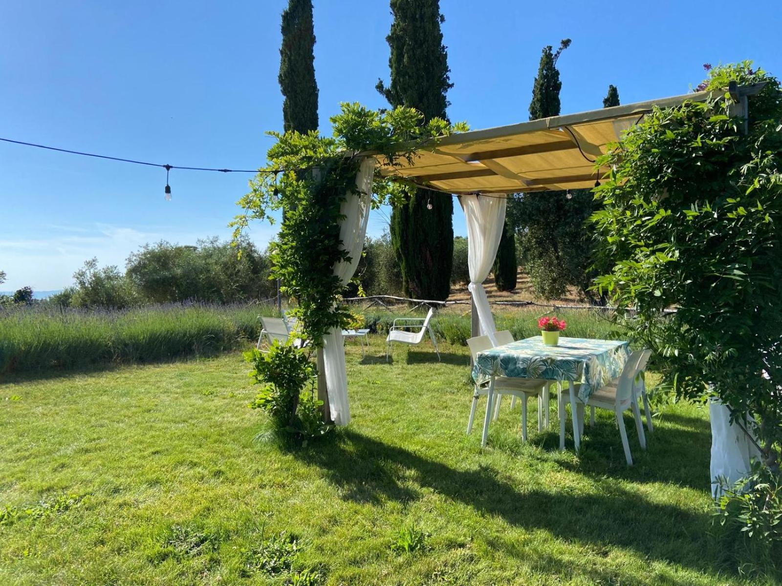 Tenuta Le Mandorlaie, In *