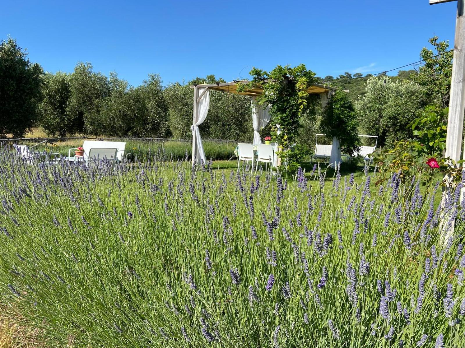Tenuta Le Mandorlaie, In Farm stay Scansano