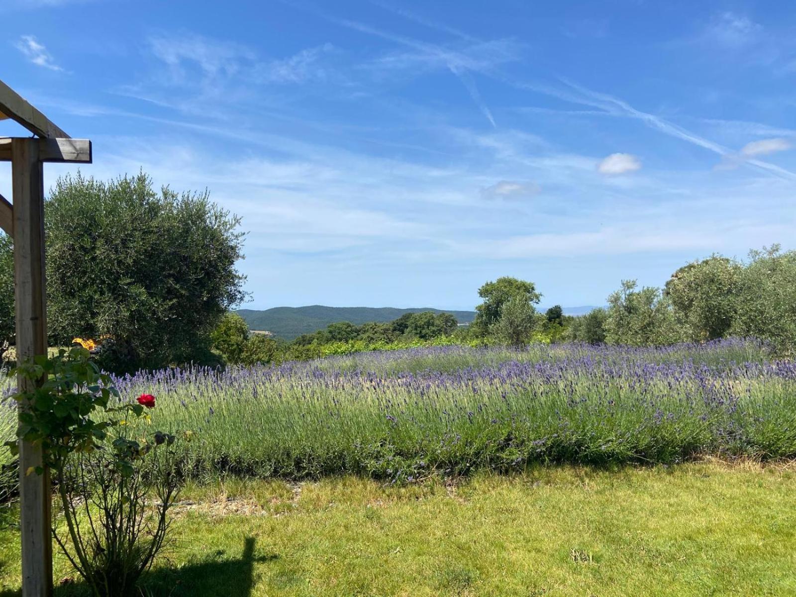 Tenuta Le Mandorlaie, In Farm stay *