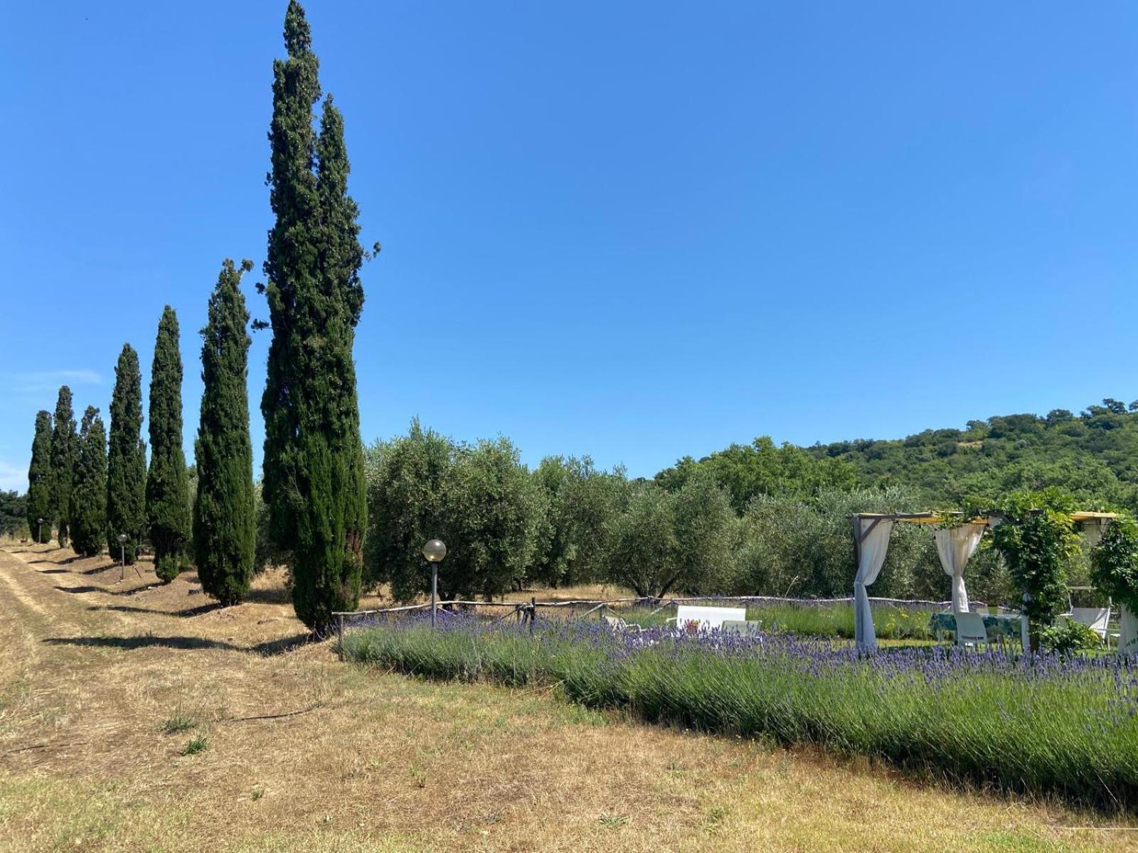 Farm stay Tenuta Le Mandorlaie, In *