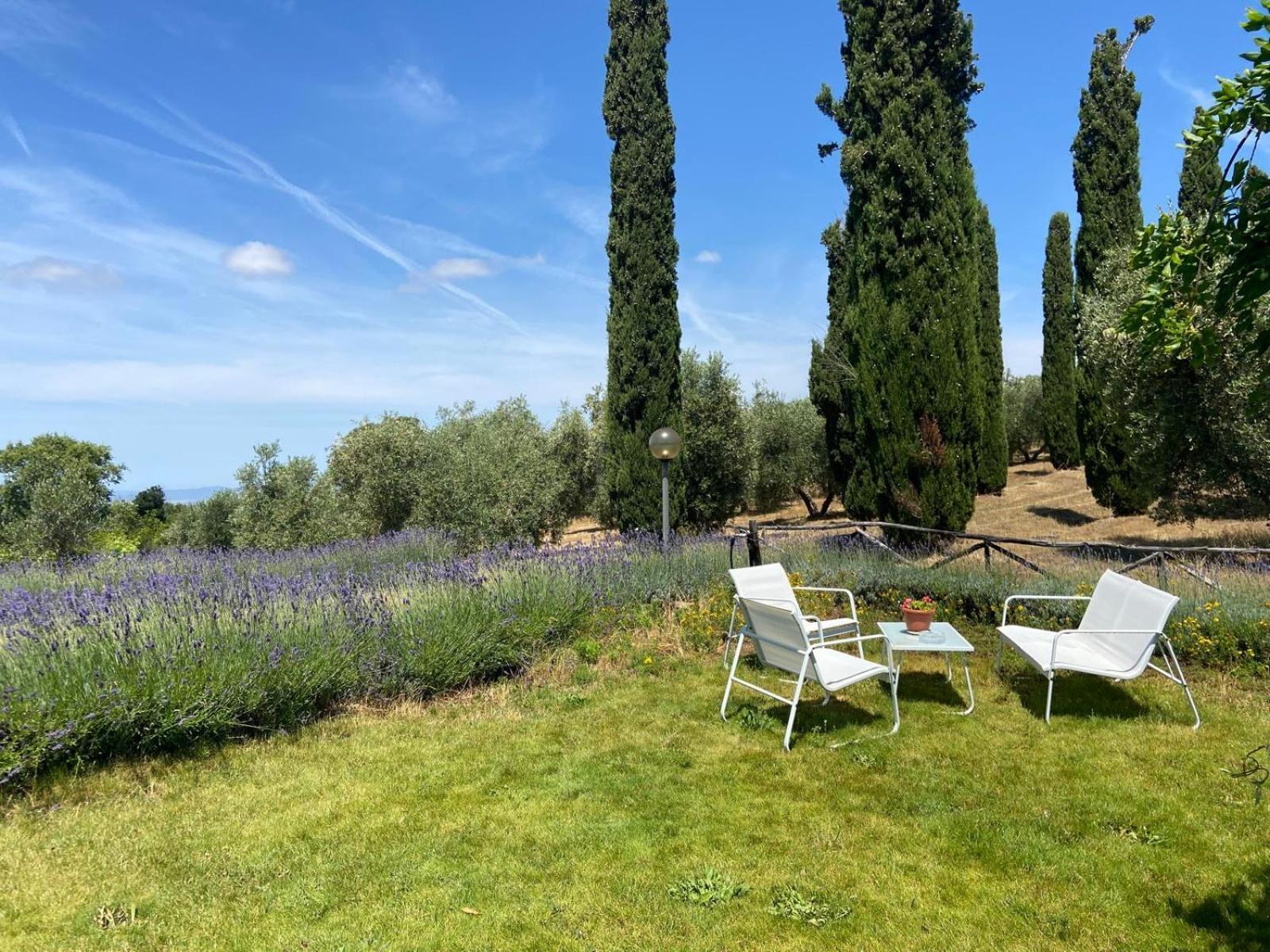 Farm stay Tenuta Le Mandorlaie, In *