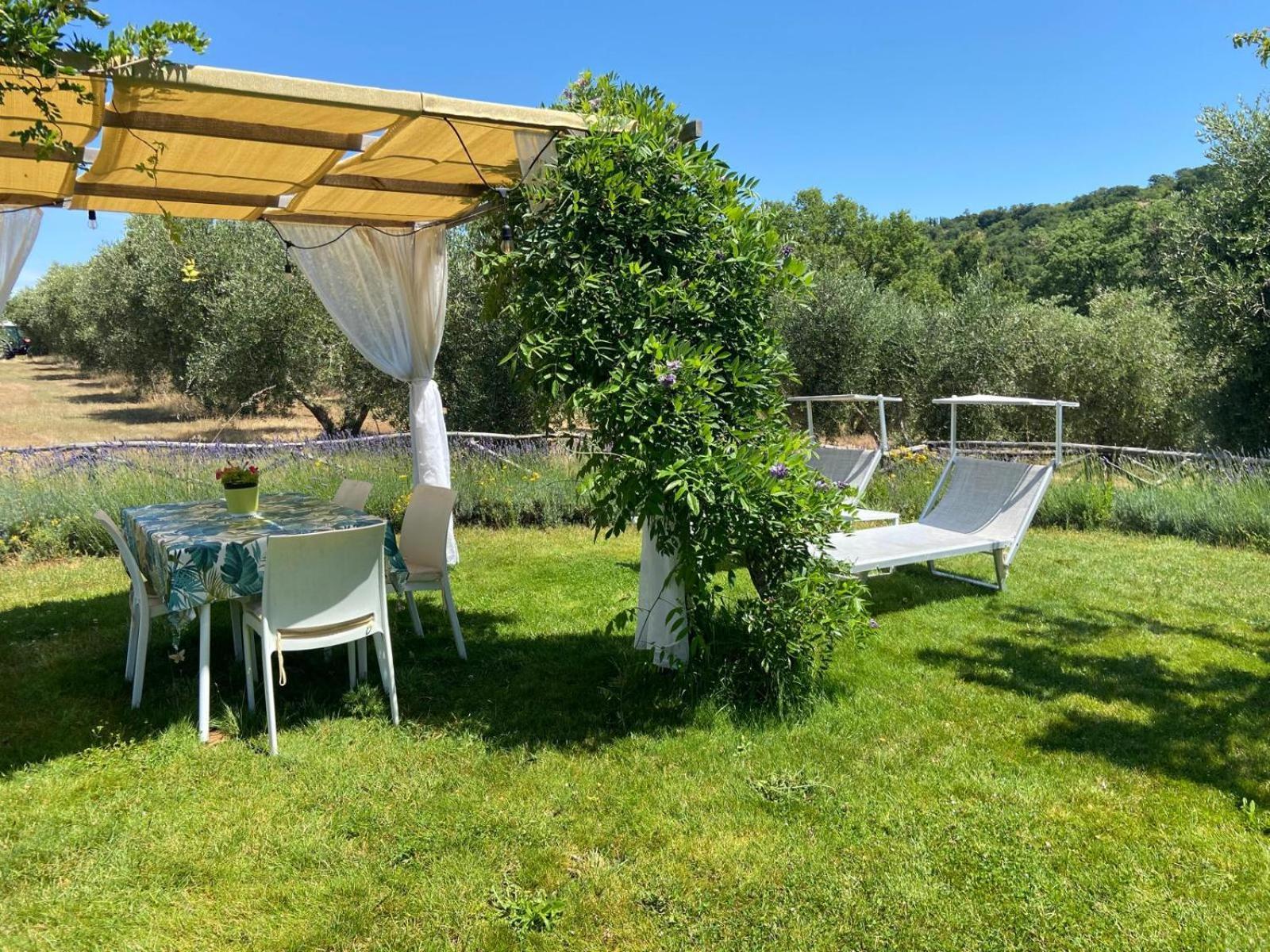 Tenuta Le Mandorlaie, In Farm stay