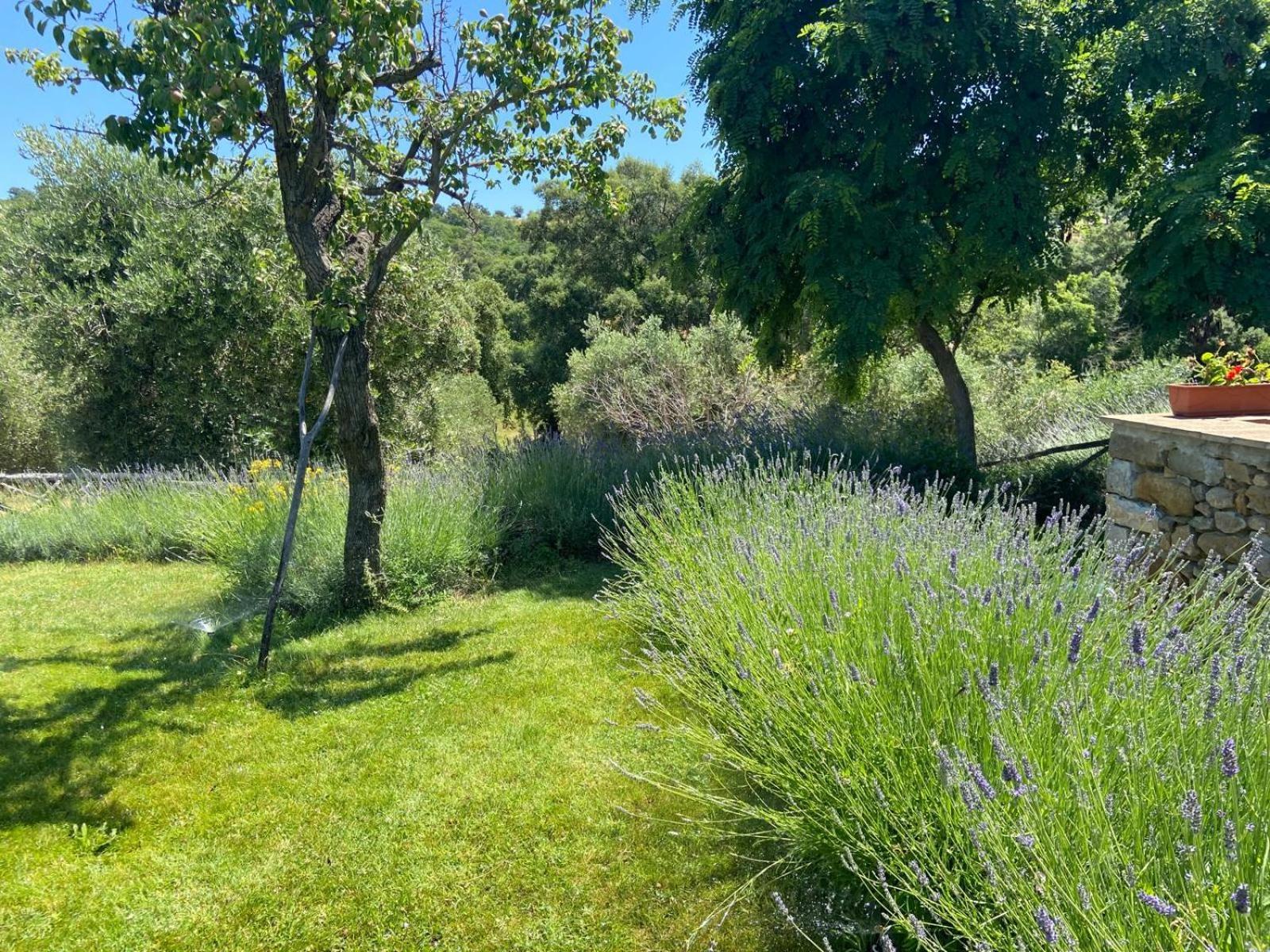 Tenuta Le Mandorlaie, In