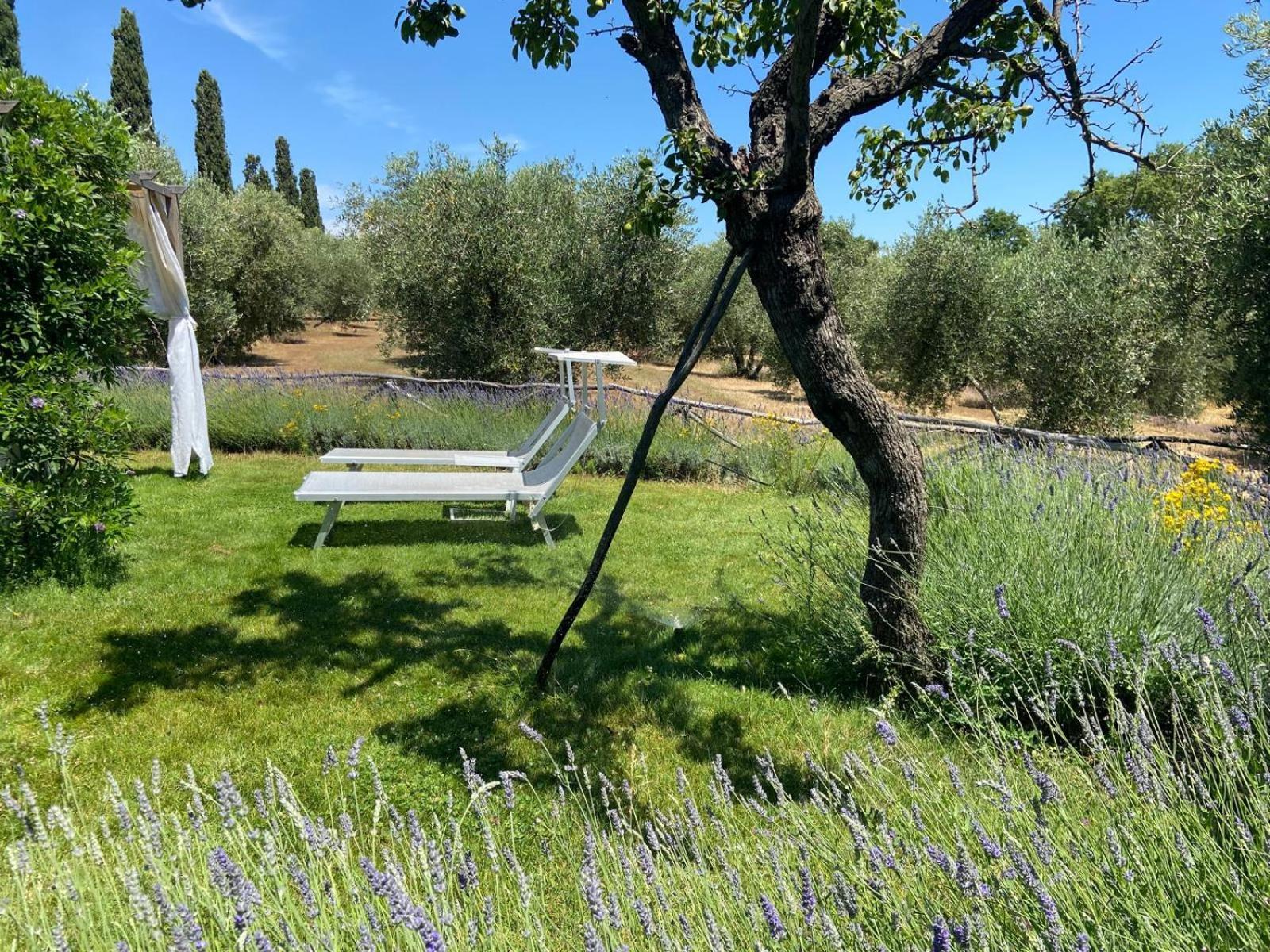 Tenuta Le Mandorlaie, In Scansano